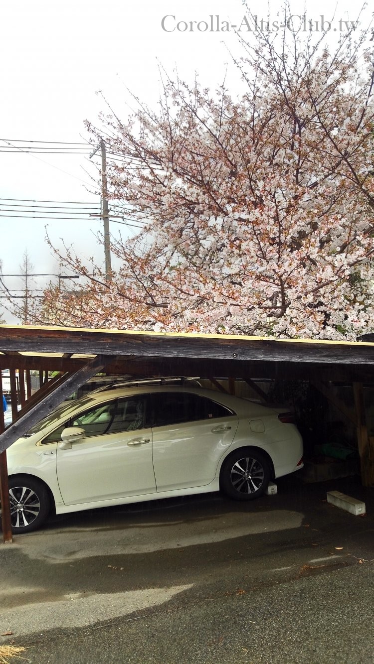 Altis 11 代 hybrid 03